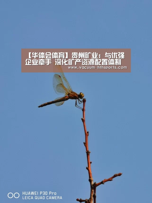 【华体会体育】贵州矿业:与优强企业牵手 深化矿产资源配置体制(图2) 华体会体育